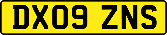 DX09ZNS