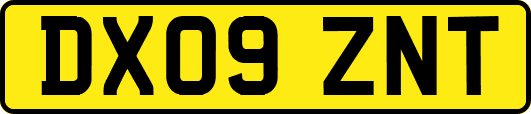 DX09ZNT