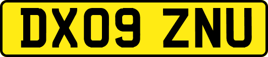 DX09ZNU