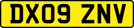 DX09ZNV