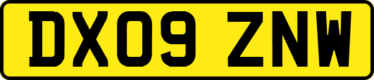 DX09ZNW
