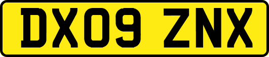 DX09ZNX