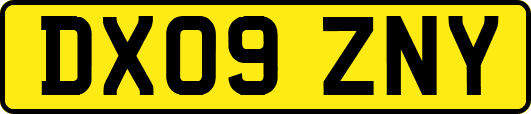 DX09ZNY