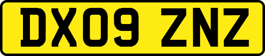DX09ZNZ