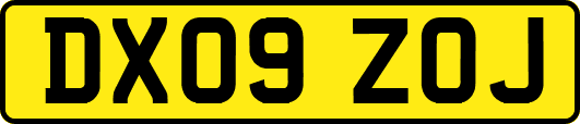 DX09ZOJ