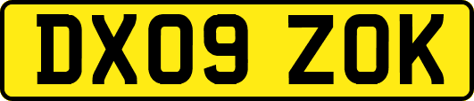 DX09ZOK