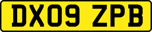 DX09ZPB