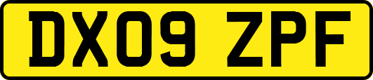 DX09ZPF