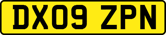 DX09ZPN