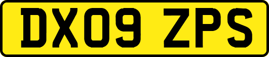 DX09ZPS
