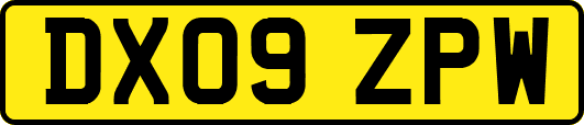 DX09ZPW