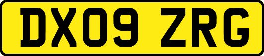 DX09ZRG