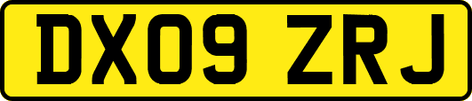 DX09ZRJ