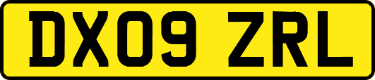 DX09ZRL