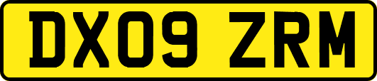 DX09ZRM