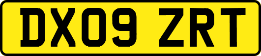 DX09ZRT