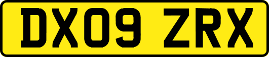 DX09ZRX