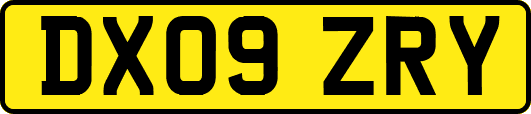 DX09ZRY