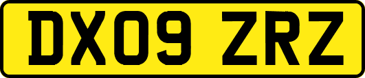DX09ZRZ