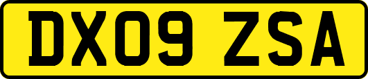 DX09ZSA