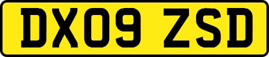 DX09ZSD