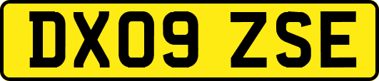 DX09ZSE