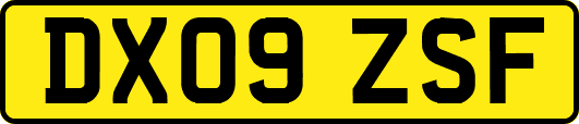 DX09ZSF