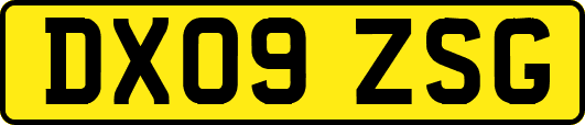 DX09ZSG