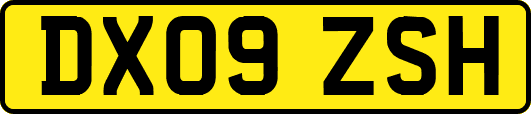 DX09ZSH
