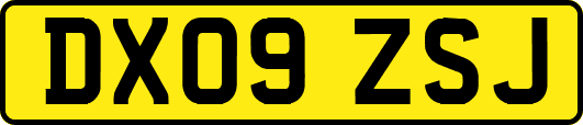 DX09ZSJ