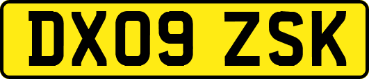 DX09ZSK