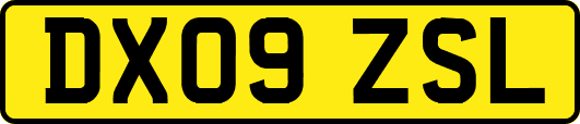 DX09ZSL