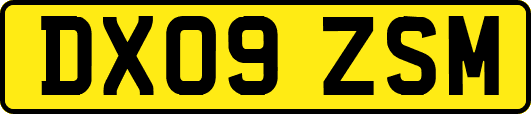 DX09ZSM