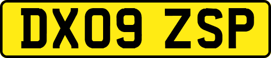 DX09ZSP