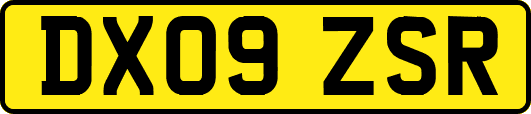 DX09ZSR