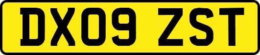 DX09ZST
