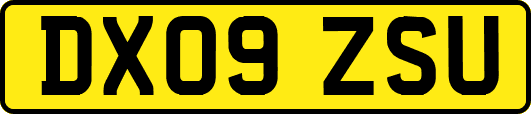 DX09ZSU