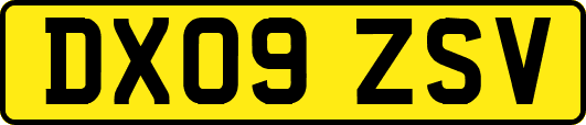 DX09ZSV