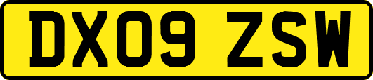 DX09ZSW