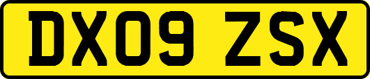 DX09ZSX