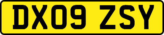 DX09ZSY