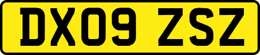DX09ZSZ