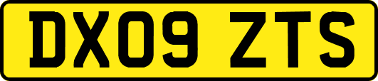 DX09ZTS