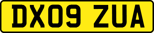 DX09ZUA