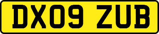 DX09ZUB