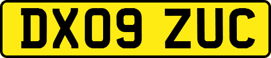 DX09ZUC
