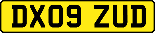 DX09ZUD