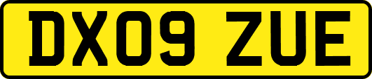DX09ZUE