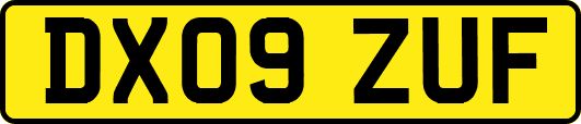 DX09ZUF