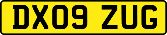 DX09ZUG